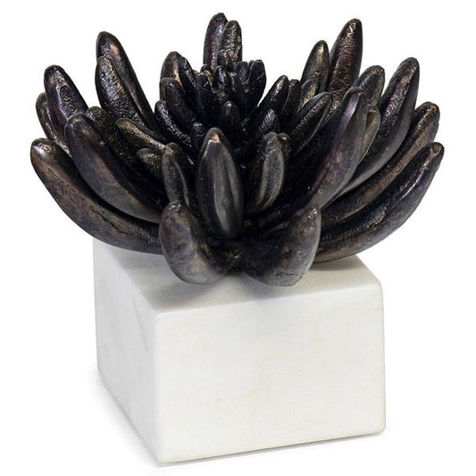 Sculpture succulente 2, Noir